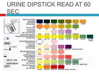 URINE DIPSTICK READ AT 60
SEC
 