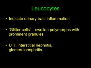 Leucocytes Indicate urinary tract inflammation ‘ Glitter cells’ – swollen polymorphs with prominent granules UTI, interstitial nephritis, glomerulonephritis 