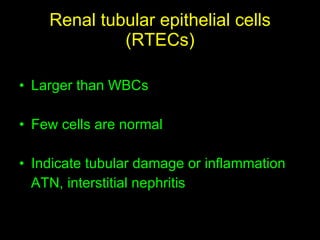 Renal tubular epithelial cells (RTECs) Larger than WBCs Few cells are normal Indicate tubular damage or inflammation ATN, interstitial nephritis 