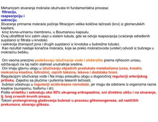 Mehanizam stvaranja mokraće obuhvata tri fundamentalna procesa:
filtraciju,
reapsorpciju i
sekreciju.
Stvaranje primarne mokraće počinje filtracijom velike količine tečnosti (krvi) iz glomerulskih
kapilara,
kroz krvno-urinarnu membranu, u Boumanovu kapsulu.
Ovaj ultrafiltrat krvi zatim ulazi u sistem tubula, gde se odvija reapsorpcija (vraćanje određenih
supstanci iz filtrata u krvotok)
i sekrecija (transport jona i drugih supstanci iz krvotoka u bubrežne tubule).
Kao rezultat nastaje konačna mokraća, koja se preko mokraćovoda (ureter) odvodi iz bubrega u
mokraćnu bešiku.
Oni veoma precizno podešavaju izlučivanje vode i elektrolita prema njihovom unosu,
održavajući na taj način stalnost unutrašnje sredine.
Oni imaju glavnu ulogu u izlučivanju otpadnih produkata metabolizma (urea, kreatin,
mokraćna kiselina, bilirubin), raznih toksina, lekova i dodataka hrani.
Regulacijom izlučivanja vode i Na imaju presudnu ulogu u dugoročnoj regulaciji arterijskog
pritiska. Zajedno sa plućima i puferima telesnih tečnosti,
bubrezi učestvuju u regulaciji acido-bazne ravnoteže, jer mogu da odstrane iz organizma razne
kiseline (sumpornu, fosfornu i dr).
Pošto sintetišu i sekretuju oko 90% ukupnog eritropoetina, oni direktno utiču i na stvaranje,
tj. broj crvenih krvnih zrnaca.
Tokom prolongiranog gladovanja bubrezi u procesu glikoneogeneze, od različitih
prekursora, stvaraju glikozu.
 