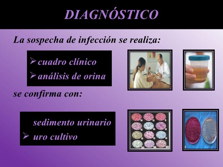 El dolor en los riñones al embarazo de 5 6 semanas