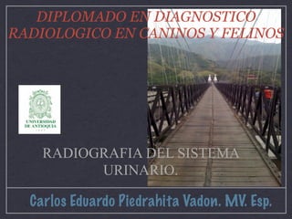 DIPLOMADO EN DIAGNOSTICO
RADIOLOGICO EN CANINOS Y FELINOS




    RADIOGRAFIA DEL SISTEMA
          URINARIO.

  Carlos Eduardo Piedrahita Vadon. MV. Esp.
 