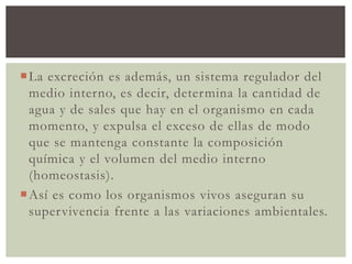 La excreción es además, un sistema regulador del
medio interno, es decir, determina la cantidad de
agua y de sales que hay en el organismo en cada
momento, y expulsa el exceso de ellas de modo
que se mantenga constante la composición
química y el volumen del medio interno
(homeostasis).
Así es como los organismos vivos aseguran su
supervivencia frente a las variaciones ambientales.
 