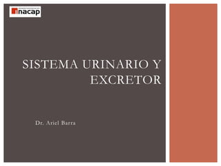 SISTEMA URINARIO Y
EXCRETOR
Dr. Ariel Barra
 