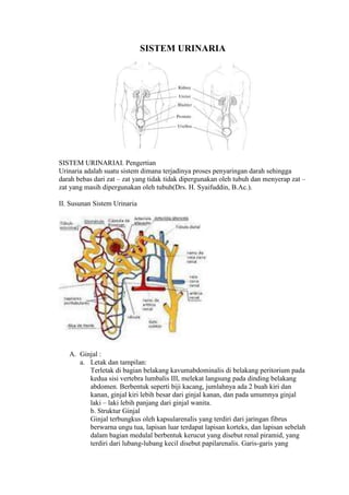 SISTEM URINARIA

SISTEM URINARIAI. Pengertian
Urinaria adalah suatu sistem dimana terjadinya proses penyaringan darah sehingga
darah bebas dari zat – zat yang tidak tidak dipergunakan oleh tubuh dan menyerap zat –
zat yang masih dipergunakan oleh tubuh(Drs. H. Syaifuddin, B.Ac.).
II. Susunan Sistem Urinaria

A. Ginjal :
a. Letak dan tampilan:
Terletak di bagian belakang kavumabdominalis di belakang peritorium pada
kedua sisi vertebra lumbalis III, melekat langsung pada dinding belakang
abdomen. Berbentuk seperti biji kacang, jumlahnya ada 2 buah kiri dan
kanan, ginjal kiri lebih besar dari ginjal kanan, dan pada umumnya ginjal
laki – laki lebih panjang dari ginjal wanita.
b. Struktur Ginjal
Ginjal terbungkus oleh kapsularenalis yang terdiri dari jaringan fibrus
berwarna ungu tua, lapisan luar terdapat lapisan korteks, dan lapisan sebelah
dalam bagian medulal berbentuk kerucut yang disebut renal piramid, yang
terdiri dari lubang-lubang kecil disebut papilarenalis. Garis-garis yang

 