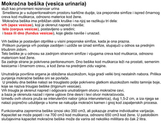 Urinarni trakt | ODP