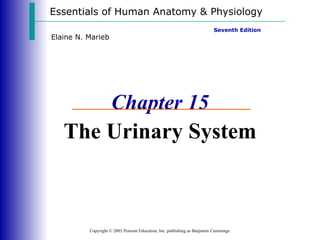 Essentials of Human Anatomy & Physiology Copyright © 2003 Pearson Education, Inc. publishing as Benjamin Cummings Seventh Edition Elaine N. Marieb Chapter 15 The Urinary System 