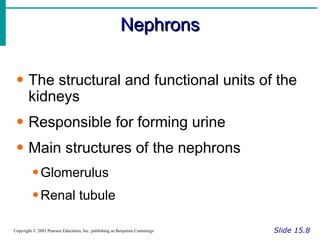 Nephrons Slide 15.8 Copyright © 2003 Pearson Education, Inc. publishing as Benjamin Cummings The structural and functional units of the kidneys Responsible for forming urine Main structures of the nephrons Glomerulus Renal tubule 
