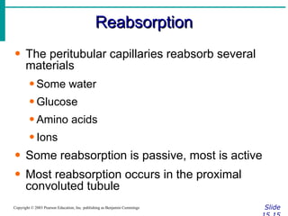Reabsorption Slide 15.15 Copyright © 2003 Pearson Education, Inc. publishing as Benjamin Cummings The peritubular capillaries reabsorb several materials Some water Glucose Amino acids Ions Some reabsorption is passive, most is active Most reabsorption occurs in the proximal convoluted tubule 