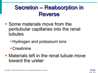 Secretion – Reabsorption in Reverse Slide 15.17 Copyright © 2003 Pearson Education, Inc. publishing as Benjamin Cummings Some materials move from the peritubular capillaries into the renal tubules Hydrogen and potassium ions Creatinine Materials left in the renal tubule move toward the ureter 