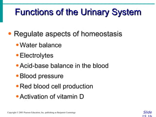 Functions of the Urinary System Slide 15.1b Copyright © 2003 Pearson Education, Inc. publishing as Benjamin Cummings Regulate aspects of homeostasis Water balance Electrolytes Acid-base balance in the blood Blood pressure Red blood cell production Activation of vitamin D 