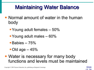 Maintaining Water Balance Slide 15.26 Copyright © 2003 Pearson Education, Inc. publishing as Benjamin Cummings Normal amount of water in the human body Young adult females – 50% Young adult males – 60% Babies – 75% Old age – 45% Water is necessary for many body functions and levels must be maintained 