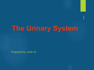 The Urinary System
Prepared by: vivek sir
vivek
sir
 