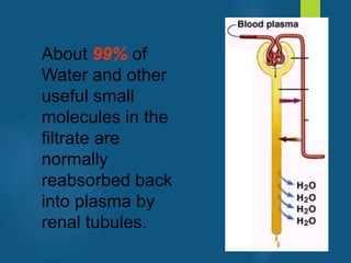 About 99% of
Water and other
useful small
molecules in the
filtrate are
normally
reabsorbed back
into plasma by
renal tubules.
vivek
sir
 