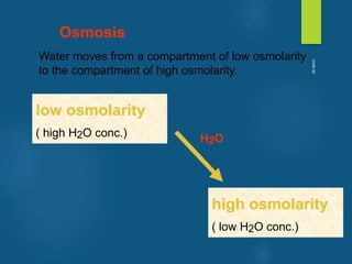 Osmosis
Water moves from a compartment of low osmolarity
to the compartment of high osmolarity.
low osmolarity
( high H2O conc.)
high osmolarity
( low H2O conc.)
H2O
vivek
sir
 
