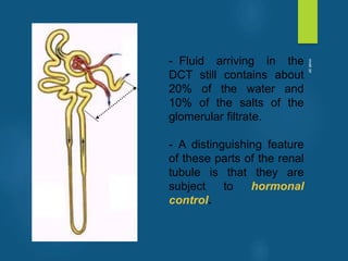 - Fluid arriving in the
DCT still contains about
20% of the water and
10% of the salts of the
glomerular filtrate.
- A distinguishing feature
of these parts of the renal
tubule is that they are
subject to hormonal
control.
vivek
sir
 