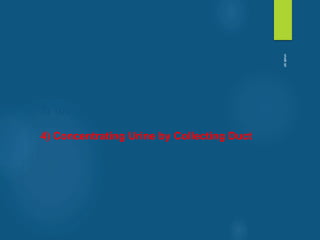 1) Glomerular Filtration
2) Tubular Reabsorption
3) Tubular Secretion
4) Concentrating Urine by Collecting Duct
vivek
sir
 