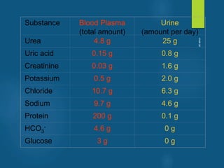 Substance Blood Plasma
(total amount)
Urine
(amount per day)
Urea 4.8 g 25 g
Uric acid 0.15 g 0.8 g
Creatinine 0.03 g 1.6 g
Potassium 0.5 g 2.0 g
Chloride 10.7 g 6.3 g
Sodium 9.7 g 4.6 g
Protein 200 g 0.1 g
HCO3
- 4.6 g 0 g
Glucose 3 g 0 g
vivek
sir
 