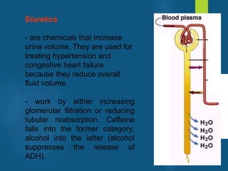 Diuretics
- are chemicals that increase
urine volume. They are used for
treating hypertension and
congestive heart failure
because they reduce overall
fluid volume.
- work by either increasing
glomerular filtration or reducing
tubular reabsorption. Caffeine
falls into the former category;
alcohol into the latter (alcohol
suppresses the release of
ADH).
vivek
sir
 