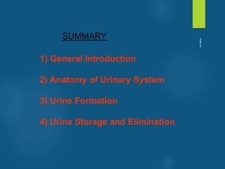 SUMMARY
1) General Introduction
2) Anatomy of Urinary System
3) Urine Formation
4) Urine Storage and Elimination
vivek
sir
 