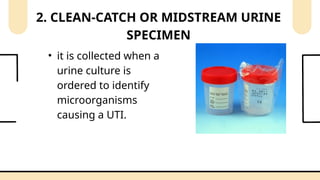 URINARY-ELIMINATIONknknjnjnjrgjngngn.pptx
