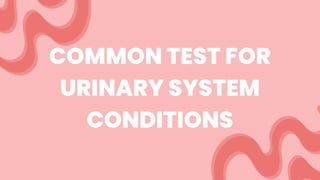 COMMON TEST FOR
URINARY SYSTEM
CONDITIONS
 