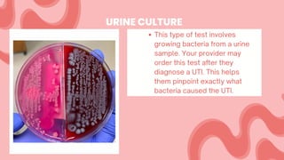 This type of test involves
growing bacteria from a urine
sample. Your provider may
order this test after they
diagnose a UTI. This helps
them pinpoint exactly what
bacteria caused the UTI.
URINE CULTURE
 