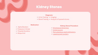 Kidney Stones
Diagnosis:
Urine Testing
Blood Testing
Medication
Alpha Blockers
Potassium Citrate
Thiazide Diuretics
Allopurinol
Kidney Stone Procedure
Shockwave lithotripsy
Ureteroscopy
Percutaneous nephrolithotomy
Laparoscopic surgery
Imaging
Analysis of passed stones
 