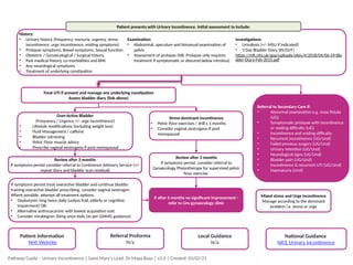 Urinary-incontenince.pptx urge incontinence and over active bladder | PPTX