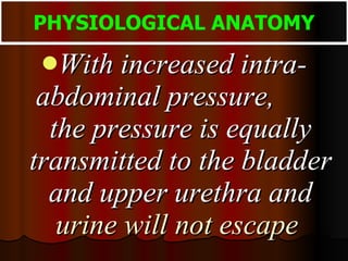 With increased intra-abdominal pressure,  the pressure is equally transmitted to the bladder and upper urethra and  urine will not escape   PHYSIOLOGICAL ANATOMY 