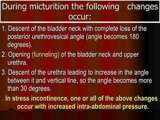 During micturition the following  changes occur: 1. Descent of the bladder neck with complete loss of the posterior urethrovesical angle  (angle becomes 180 degrees). 2. Opening  (funneling)  of the bladder neck and upper urethra. 3. Descent of the urethra leading to increase in the angle between it and vertical line, so the angle becomes more than 30 degrees. .  In stress incontinence, one or all of the above changes occur with increased intra-abdominal pressure. 