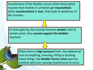 Incontinence of the bladder occurs when those pelvic
muscles that involves in urination get traumatized,
either overstretched or tear, that leads to weakness of
the muscles.
As time goes by, the muscles become weaker until at
certain point, they cannot support the bladder
anymore.
When there is high pressure from the abdominal
such as coughing, sneezing, lifting or pushing
heavy things, the bladder forces urine past the
urethral sphincter causing incontinence to occur.
 