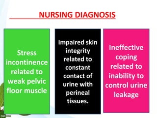 NURSING DIAGNOSIS
Stress
incontinence
related to
weak pelvic
floor muscle
Impaired skin
integrity
related to
constant
contact of
urine with
perineal
tissues.
Ineffective
coping
related to
inability to
control urine
leakage
 