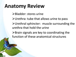 Anatomy Review
Bladder: stores urine
Urethra: tube that allows urine to pass
Urethral sphincter: muscle surrounding the
urethra that hold the urine
Brain signals are key to coordinating the
function of these anatomical structures
 