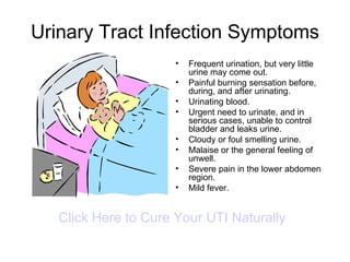 Urinary Tract Infection Symptoms ,[object Object],[object Object],[object Object],[object Object],[object Object],[object Object],[object Object],[object Object],Click Here to Cure Your UTI Naturally 