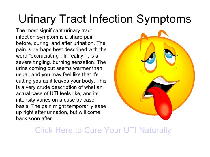 cure uti to fever how Tract Urinary Infection Symptoms cure uti to fever how Tract Urinary Infection Symptoms