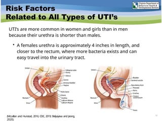 Risk Factors
Related to All Types of UTI’s
UTI’s are more common in women and girls than in men
because their urethra is shorter than males.
• A females urethra is approximately 4 inches in length, and
closer to the rectum, where more bacteria exists and can
easy travel into the urinary tract.
13
(McLellan and Hunstad, 2016; CDC, 2019; Belyayeva and Jeong,
2020).
 