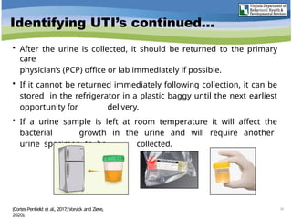 Identifying UTI’s continued…
30
• After the urine is collected, it should be returned to the primary
care
physician’s (PCP) office or lab immediately if possible.
• If it cannot be returned immediately following collection, it can be
stored in the refrigerator in a plastic baggy until the next earliest
opportunity for delivery.
• If a urine sample is left at room temperature it will affect the
bacterial growth in the urine and will require another
urine specimen to be collected.
(Cortes-Penfield et al., 2017; Vorvick and Zieve,
2020).
 