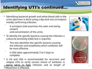 Identifying UTI’s continued…
• Identifying bacterial growth and white blood cells in the
urine specimen is done using a dip-stick test (urinalysis)
initially confirming infection.
 A urinalysis (UA) examines the color and clarity,
content
and concentration of the urine.
• To identify the specific bacteria causing the infection a
culture & sensitivity (C&S) test is required.
 This test identifies the specific bacteria causing
the infection and establishes which antibiotic will
be most effective.
 A C&S takes approximately 3 to 5 days to
complete.
• A UA and C&S is recommended for recurrent and
relapse UTIs to verify correct choice of antibiotic is
being taken to fight infection and or length of
treatment is effective.
(Brubaker et al., 2018; Lajiness and Lajiness,
2019).
26
 
