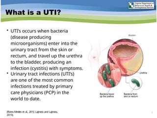 Bladder
What is a UTI?
• UTI’s occurs when bacteria
(disease producing
microorganisms) enter into the
urinary tract from the skin or
rectum, and travel up the urethra
to the bladder, producing an
infection (cystitis) with symptoms.
• Urinary tract infections (UTI’s)
are one of the most common
infections treated by primary
care physicians (PCP) in the
world to date.
5
(Flores-Mireles et al., 2015; Lajiness and Lajiness,
2019).
 