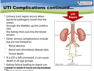 UTI Complications continued…
• Urinary tract sepsis occurs when
bacterial pathogens travel into the
ureter,
through the bladder, up the urethra
into
the kidney then out into the blood
stream.
• Other serious complications include
but are not limited to:
 Renal abscess.
 Renal vein thrombosis (blood clot).
 Tissue death.
• If a UTI is left untreated, it can cause
death in all age groups.
• Kidney failure leading to sepsis can
result in death if there are no medical 40
(Flores-Mireles et al., 2015; Bonnici and Lentini, 2014; Belyayeva and Jeong,
2020).
UTI
Sepsis
 