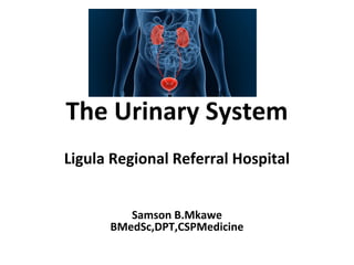 The Urinary System
Ligula Regional Referral Hospital
Samson B.Mkawe
BMedSc,DPT,CSPMedicine
 