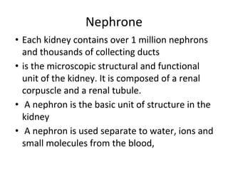 Nephrone
• Each kidney contains over 1 million nephrons
and thousands of collecting ducts
• is the microscopic structural and functional
unit of the kidney. It is composed of a renal
corpuscle and a renal tubule.
• A nephron is the basic unit of structure in the
kidney
• A nephron is used separate to water, ions and
small molecules from the blood,
 