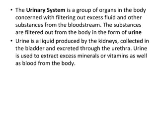 • The Urinary System is a group of organs in the body
concerned with filtering out excess fluid and other
substances from the bloodstream. The substances
are filtered out from the body in the form of urine
• Urine is a liquid produced by the kidneys, collected in
the bladder and excreted through the urethra. Urine
is used to extract excess minerals or vitamins as well
as blood from the body.
 