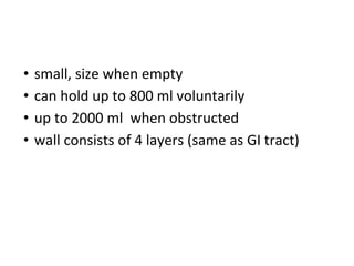• small, size when empty
• can hold up to 800 ml voluntarily
• up to 2000 ml when obstructed
• wall consists of 4 layers (same as GI tract)
 