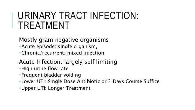 biaxin used treat bladder infection