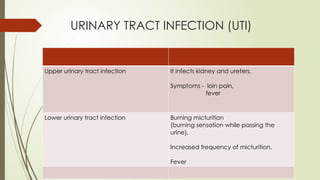 Uti Rugs DRUGS USED IN UTI OR URINARY ANTISEPTICS | PPTX