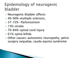  Autonomous
◦ Damage to both motor and spinal fibers between
bladder and spinal cord
◦ Failure to generate bladder contra...