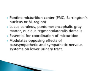  Pontine micturition center (PMC, Barrington’s
nucleus or M-region)
 Locus ceruleus, pontomesencephalic gray
matter, nuc...