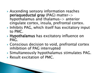  Ascending sensory information reaches
periaqueductal gray (PAG) matter->
hypothalamus and thalamus-> anterior
cingulate ...